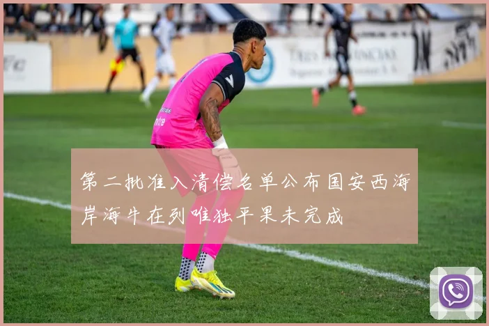 第二批准入清偿名单公布国安西海岸海牛在列唯独平果未完成
